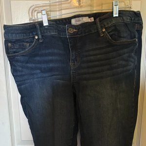 Torrid Jeans